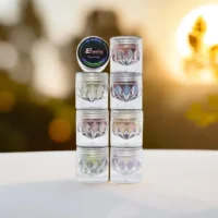 Everly Beauties Pigmented Loose Eyeshadow Pigments
